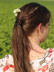 Kartoffelblüte im Haar