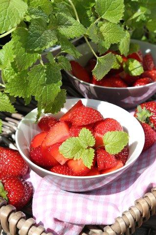 frische Erdbeeren mit Zitronenmelisse, Sauerländische Erdbeeren, www.die-fotokueche.de