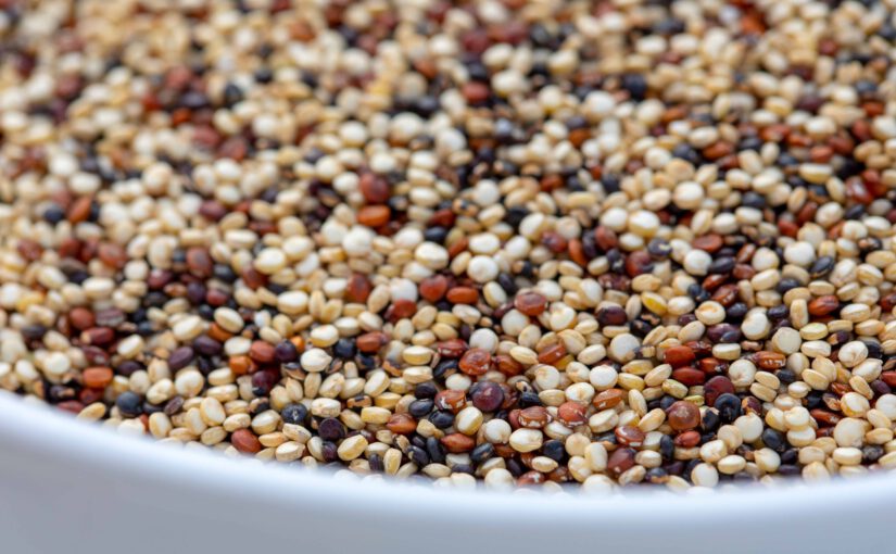 Quinoa – kleines Korn aus den Anden